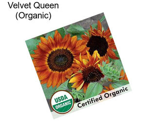 Velvet Queen (Organic)