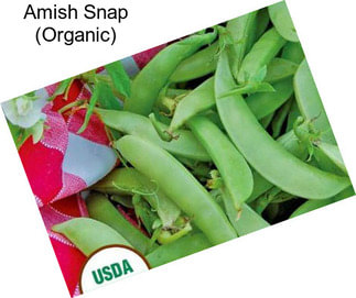 Amish Snap (Organic)