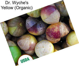 Dr. Wyche\'s Yellow (Organic)