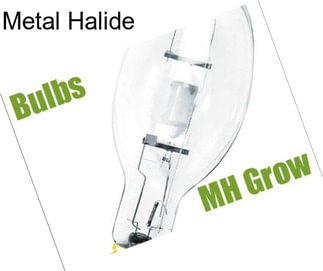 Metal Halide