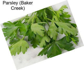 Parsley (Baker Creek)