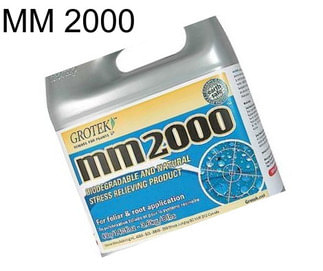 MM 2000