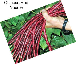 Chinese Red Noodle