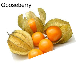 Gooseberry