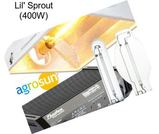 Lil\' Sprout (400W)