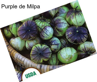 Purple de Milpa