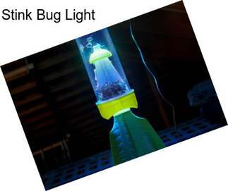 Stink Bug Light