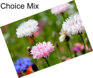 Choice Mix