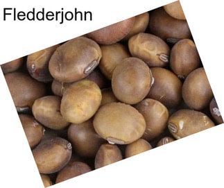 Fledderjohn