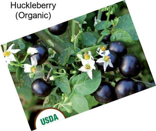 Huckleberry (Organic)