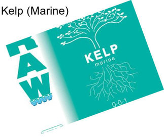 Kelp (Marine)