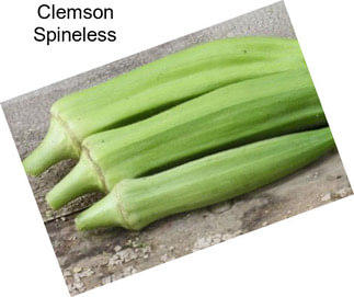 Clemson Spineless