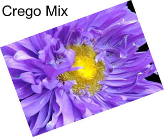 Crego Mix