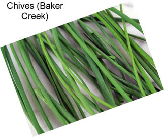 Chives (Baker Creek)