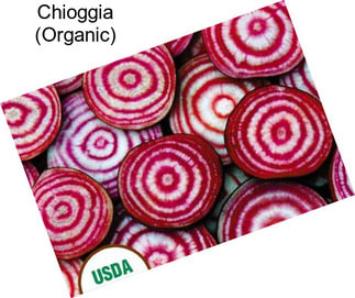 Chioggia (Organic)