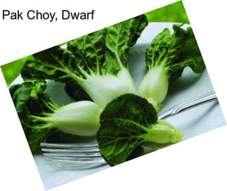 Pak Choy, Dwarf