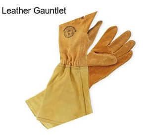 Leather Gauntlet