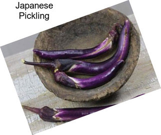Japanese Pickling