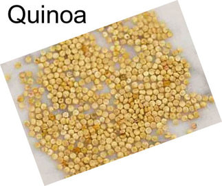 Quinoa