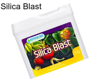 Silica Blast