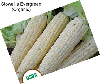 Stowell\'s Evergreen (Organic)