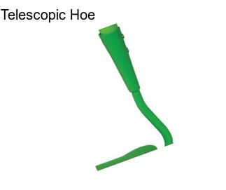 Telescopic Hoe