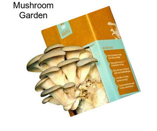 Mushroom Garden