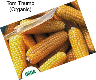 Tom Thumb (Organic)