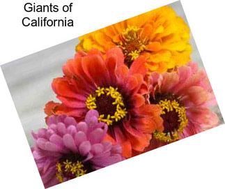 Giants of California