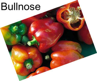 Bullnose