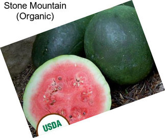Stone Mountain (Organic)