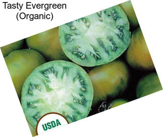 Tasty Evergreen (Organic)