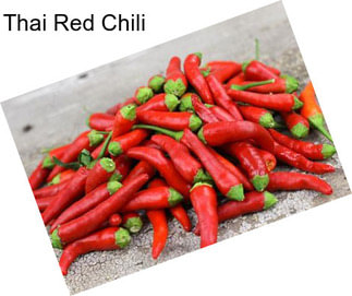 Thai Red Chili