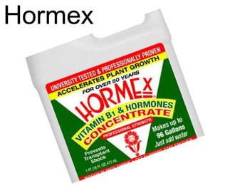 Hormex