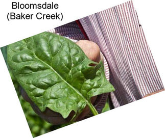 Bloomsdale (Baker Creek)