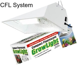 CFL System