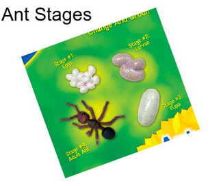 Ant Stages