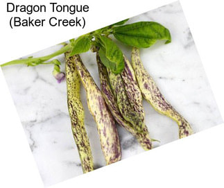 Dragon Tongue (Baker Creek)