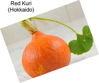 Red Kuri (Hokkaido)