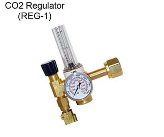 CO2 Regulator (REG-1)