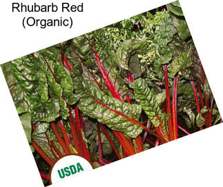 Rhubarb Red (Organic)