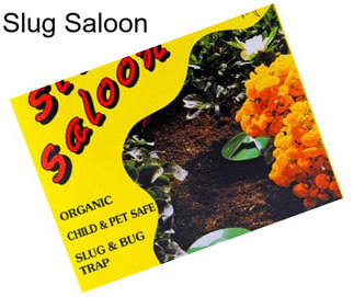 Slug Saloon