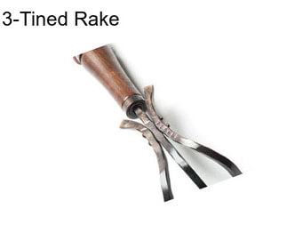 3-Tined Rake