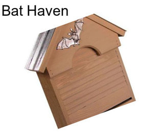 Bat Haven
