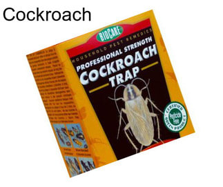 Cockroach