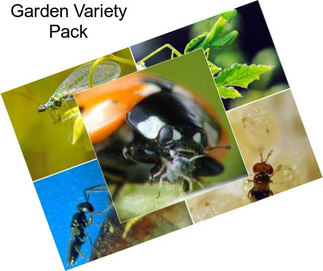 Garden Variety Pack