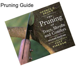 Pruning Guide