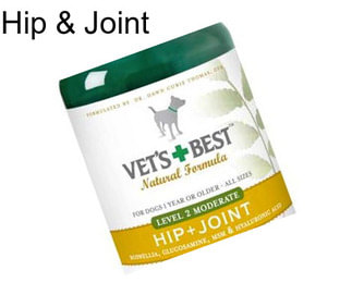 Hip & Joint