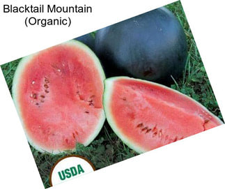 Blacktail Mountain (Organic)