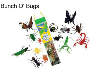 Bunch O\' Bugs